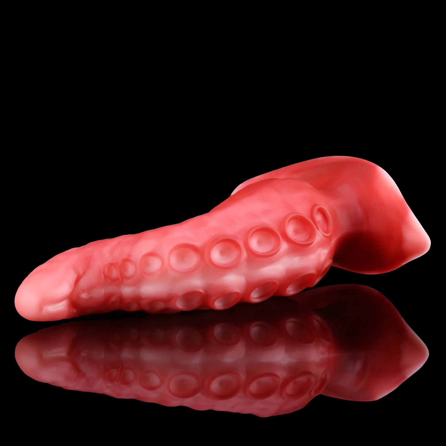 ALLA PLUG - Image 15