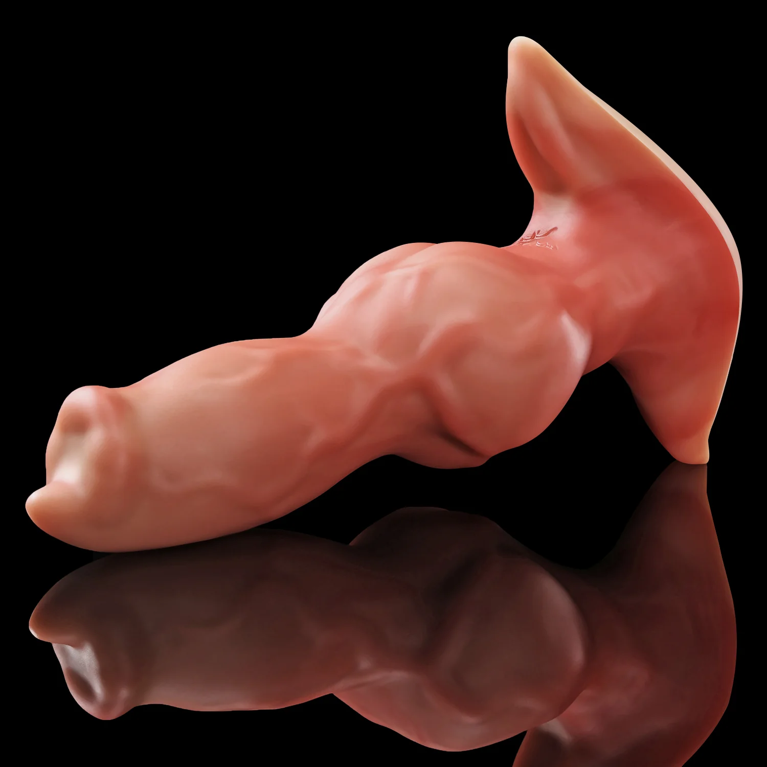 GRAE  PLUG - Image 14